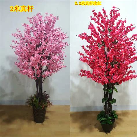 招桃花盆栽|招桃花 旺人緣2024攻略：飾品小物、房間佈置、盆栽植物到風水。